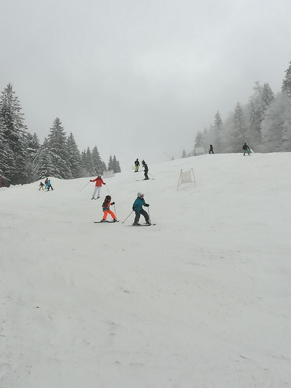 Fortgeschrittener Skikurs