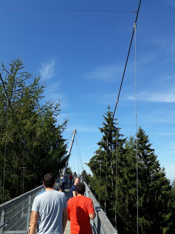 Vereinsausflug Scheidegg