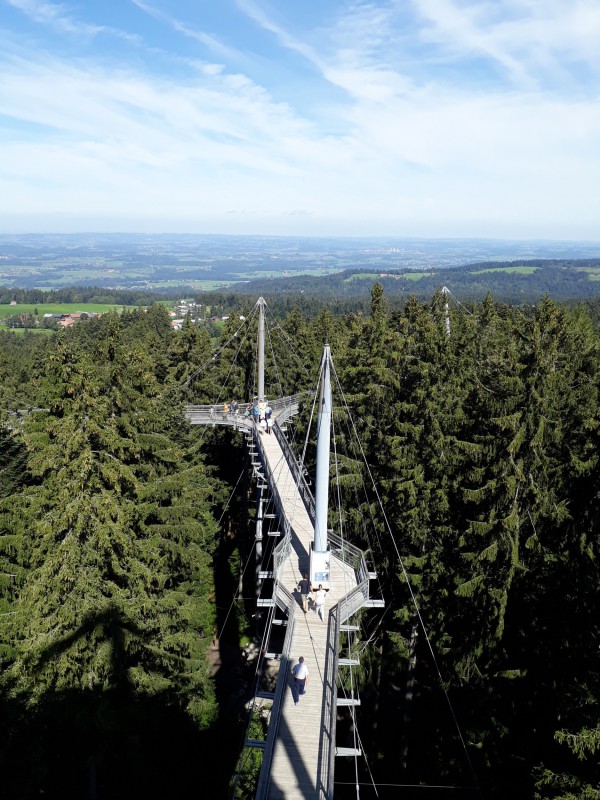 Vereinsausflug Scheidegg