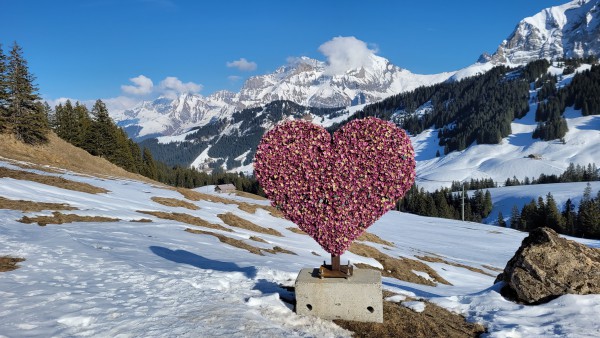 Skiwochenende Adelboden