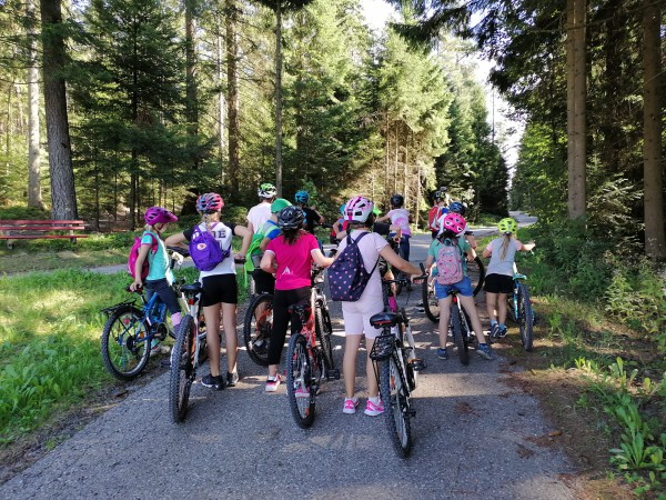 Sommerferienprogramm