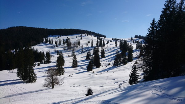 Skiausfahrt Feldberg