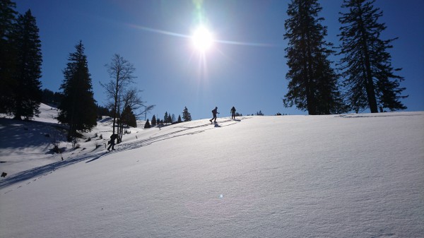 Skiausfahrt Feldberg