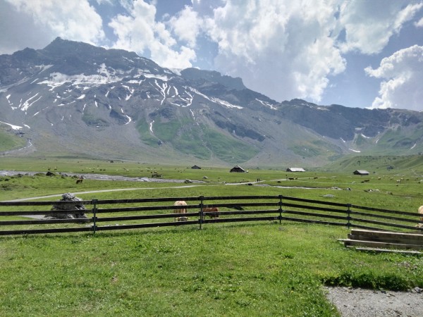 Veriensausflug Adelboden
