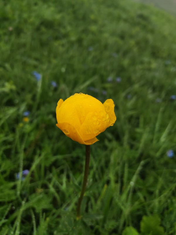 Wanderwochenende Säntis