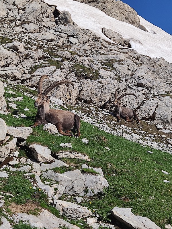 Wanderwochenende Säntis