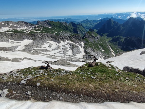 Wanderwochenende Säntis
